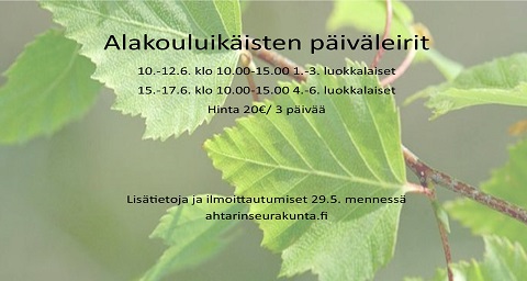 1.-3. luokkalaisten päiväleiri Päiväleirin mainoskuva